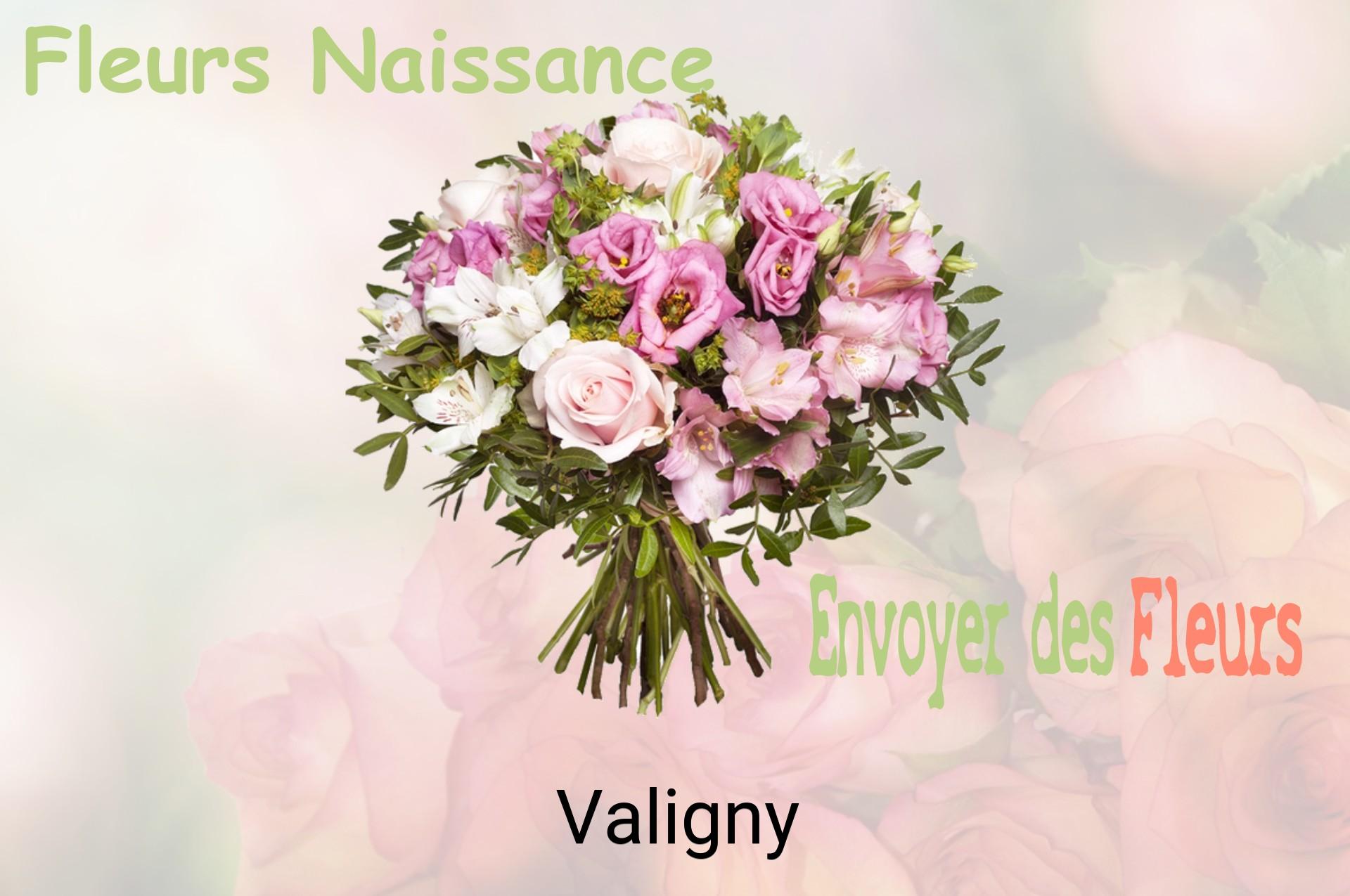 Bouquet de fleurs de naissance livré à Valigny